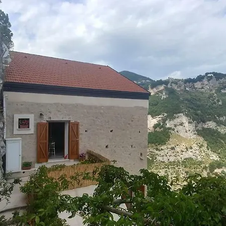 Nido Del Falco